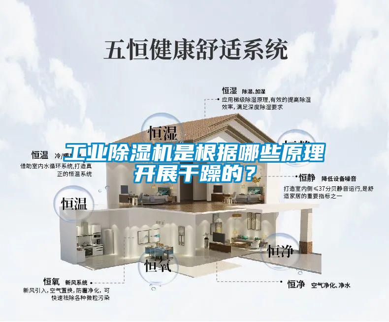 工業除濕機是根據哪些原理開展干躁的？