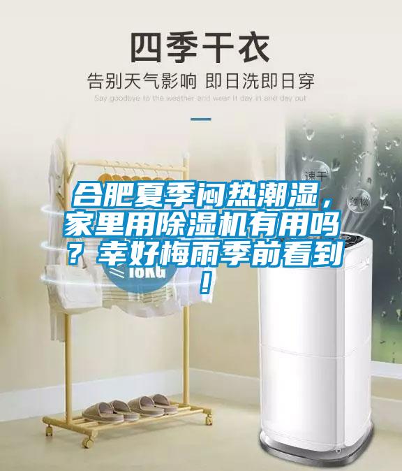 合肥夏季悶熱潮濕，家里用除濕機有用嗎？幸好梅雨季前看到！