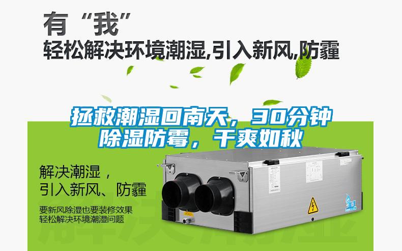 拯救潮濕回南天，30分鐘除濕防霉，干爽如秋