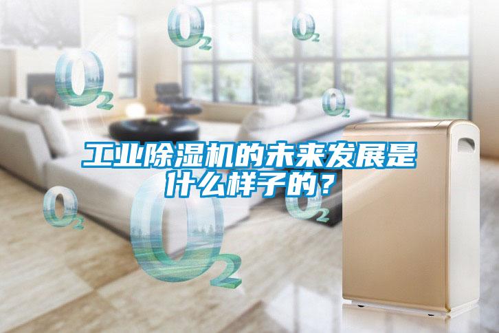 工業(yè)除濕機的未來發(fā)展是什么樣子的？