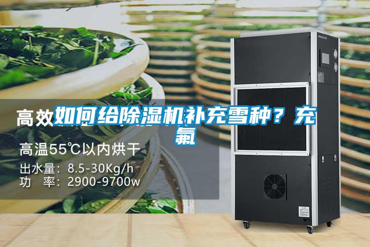 如何給除濕機補充雪種？充氟