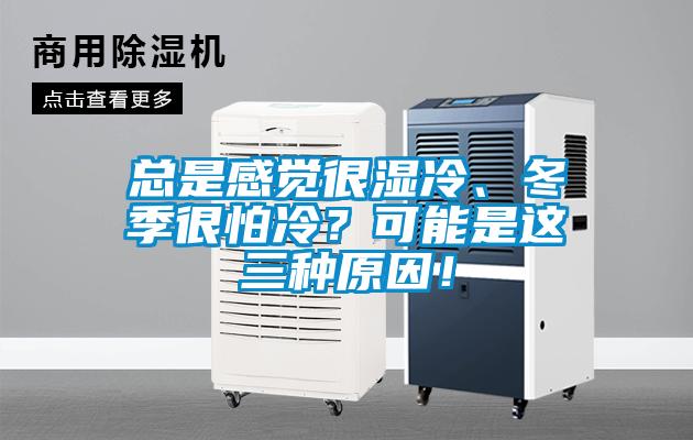 總是感覺很濕冷、冬季很怕冷？可能是這三種原因！