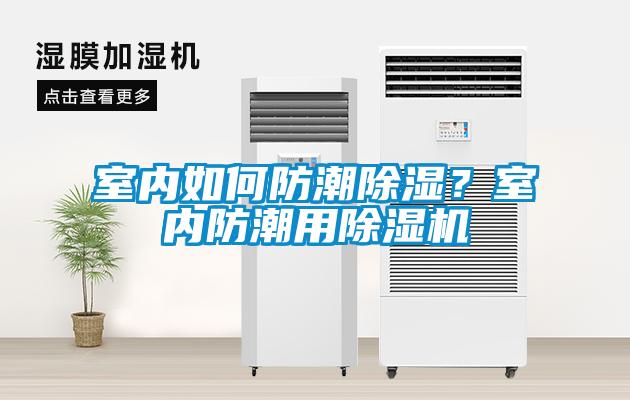 室內如何防潮除濕？室內防潮用除濕機