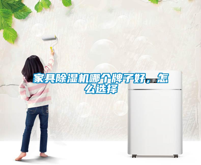家具除濕機(jī)哪個(gè)牌子好，怎么選擇