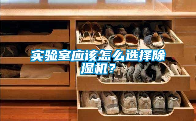 實驗室應該怎么選擇除濕機？