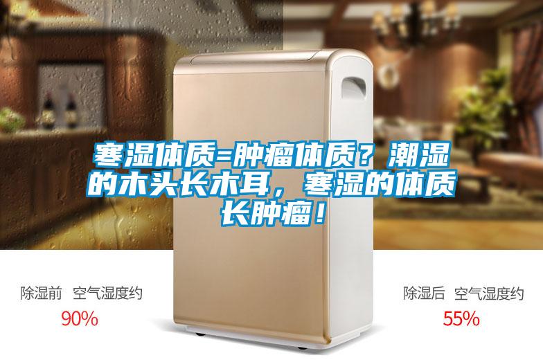 寒濕體質=腫瘤體質？潮濕的木頭長木耳，寒濕的體質長腫瘤！