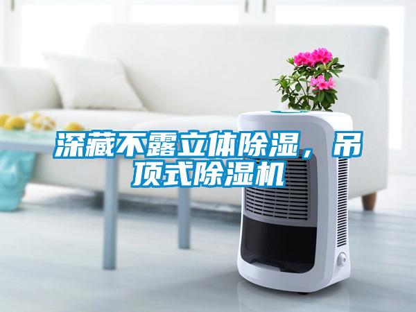 深藏不露立體除濕，吊頂式除濕機
