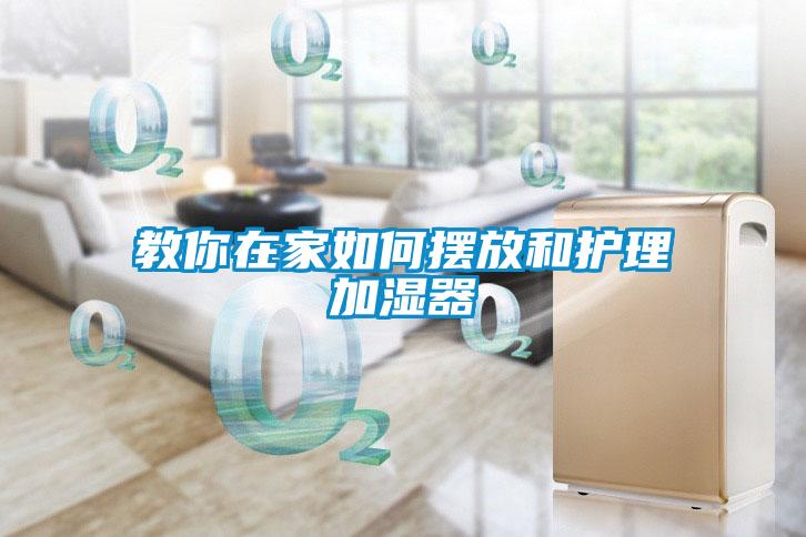 教你在家如何擺放和護理加濕器
