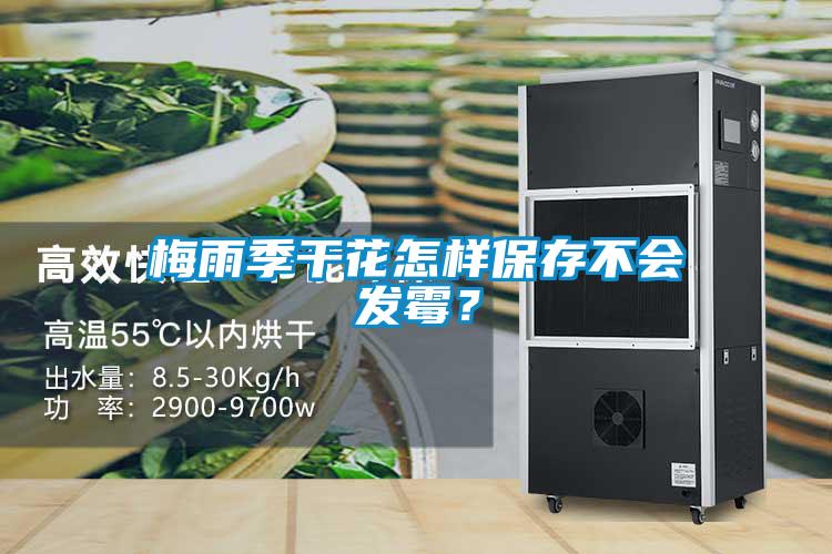 梅雨季干花怎樣保存不會發(fā)霉？