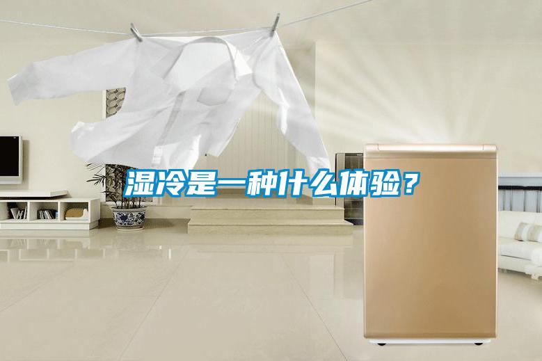 濕冷是一種什么體驗(yàn)？