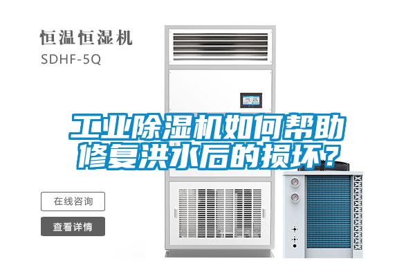 工業(yè)除濕機(jī)如何幫助修復(fù)洪水后的損壞？