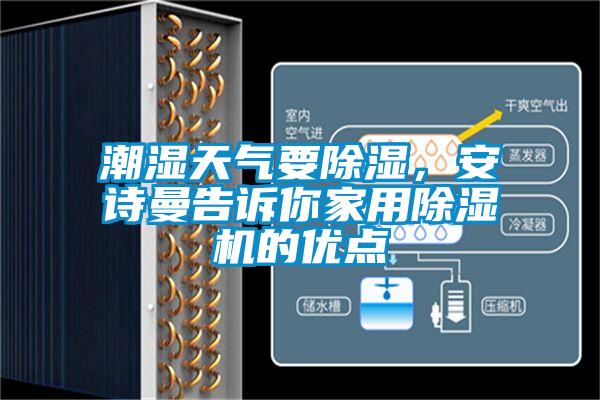 潮濕天氣要除濕，安詩曼告訴你家用除濕機的優點