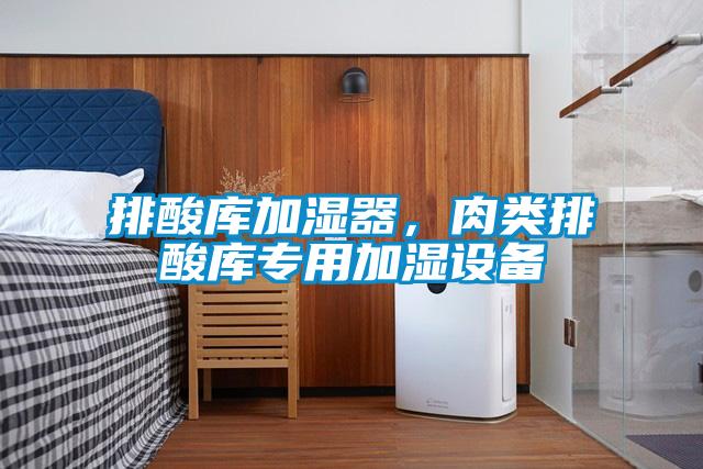 排酸庫加濕器，肉類排酸庫專用加濕設備