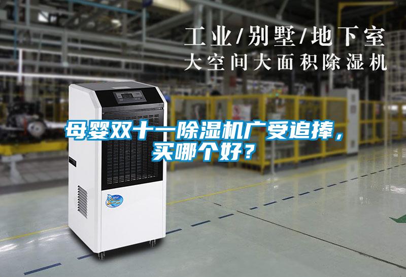 母嬰雙十一除濕機(jī)廣受追捧，買哪個(gè)好？
