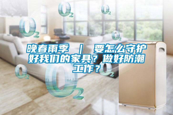晚春雨季 ｜ 要怎么守護好我們的家具？做好防潮工作？