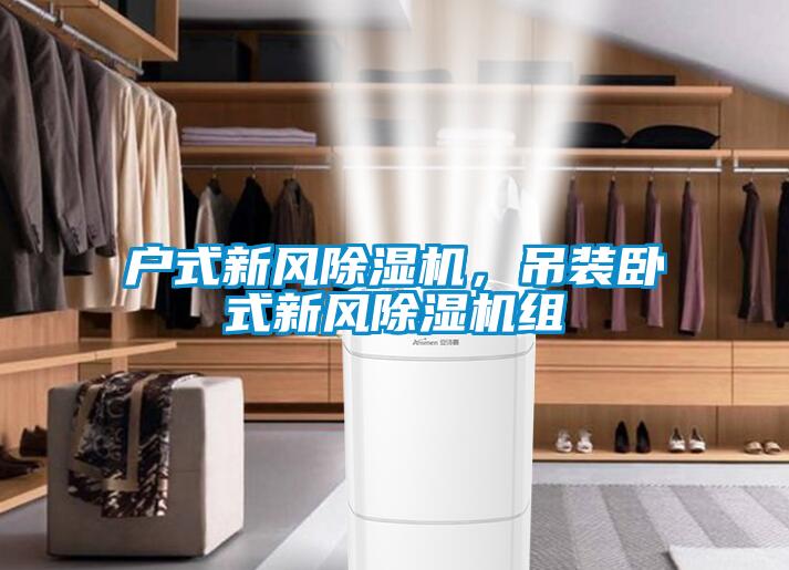 戶式新風(fēng)除濕機(jī)，吊裝臥式新風(fēng)除濕機(jī)組