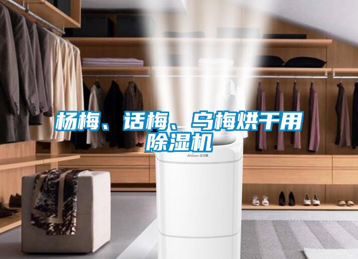楊梅、話梅、烏梅烘干用除濕機