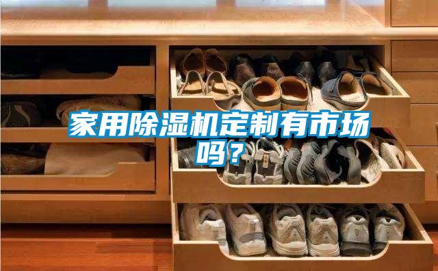 家用除濕機定制有市場嗎？