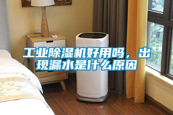 工業除濕機好用嗎，出現漏水是什么原因