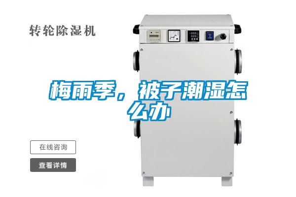 梅雨季，被子潮濕怎么辦