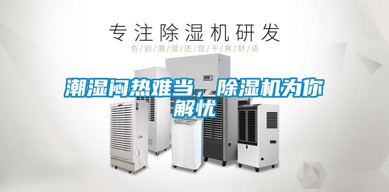 潮濕悶熱難當，除濕機為你解憂
