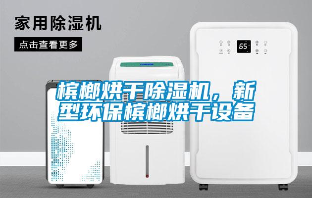 檳榔烘干除濕機，新型環(huán)保檳榔烘干設備