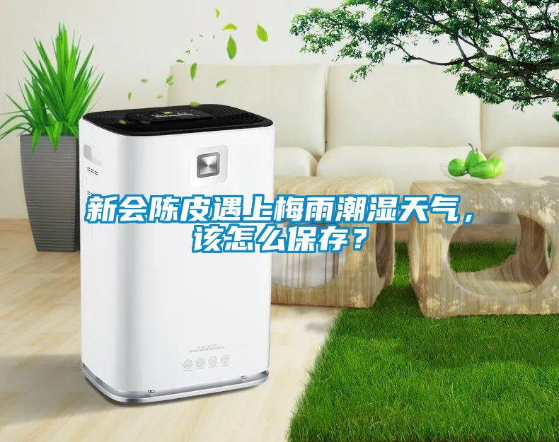 新會陳皮遇上梅雨潮濕天氣，該怎么保存？