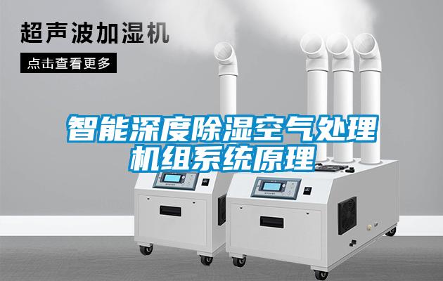 智能深度除濕空氣處理機組系統原理