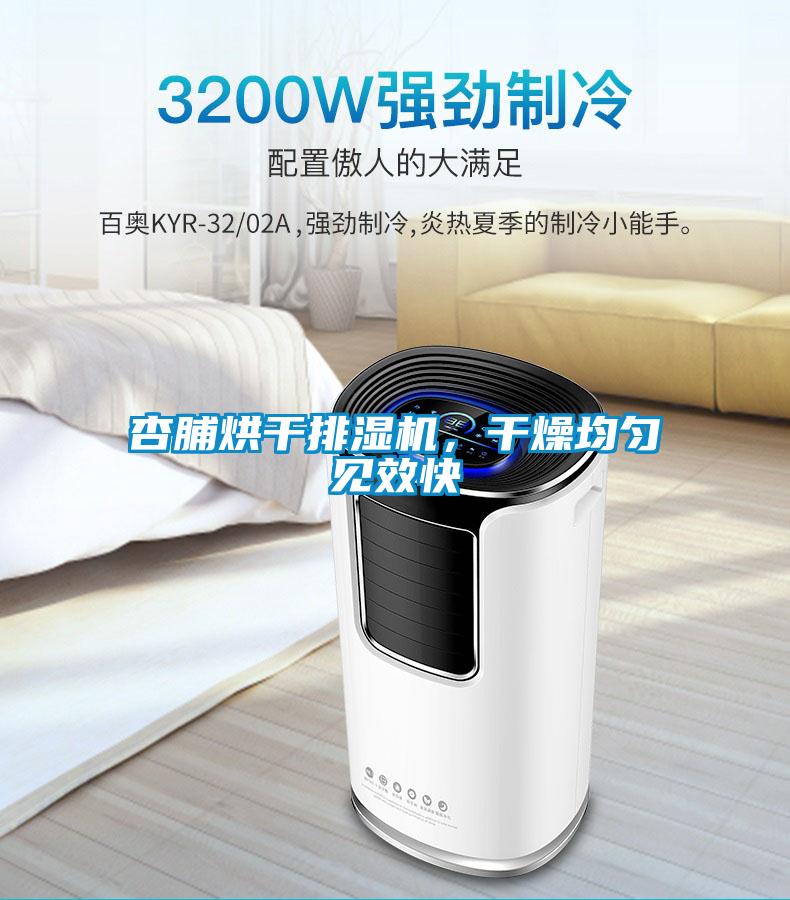 杏脯烘干排濕機(jī)，干燥均勻見(jiàn)效快