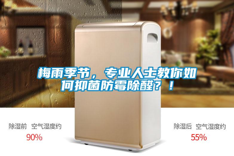 梅雨季節，專業人士教你如何抑菌防霉除醛？！