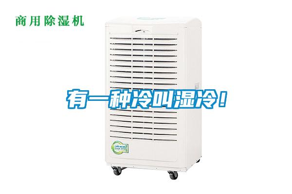 有一種冷叫濕冷！