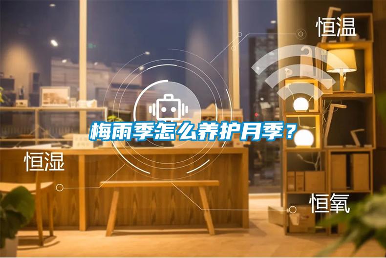 梅雨季怎么養護月季？