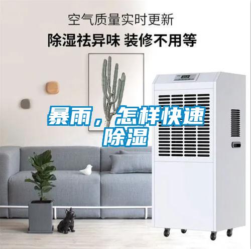 暴雨，怎樣快速除濕