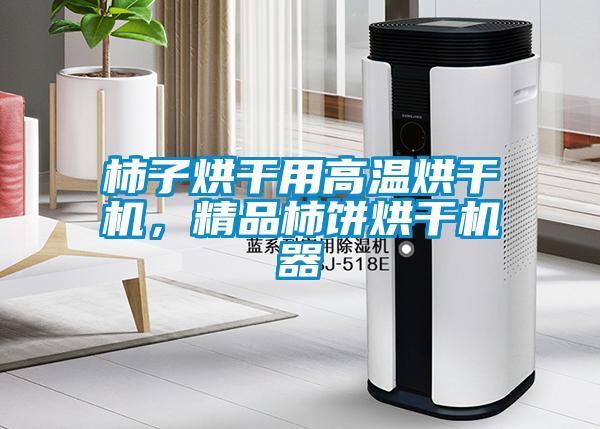 柿子烘干用高溫烘干機(jī),精品柿餅烘干機(jī)器