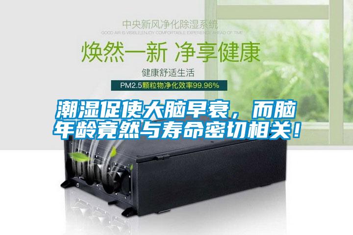 潮濕促使大腦早衰，而腦年齡竟然與壽命密切相關！