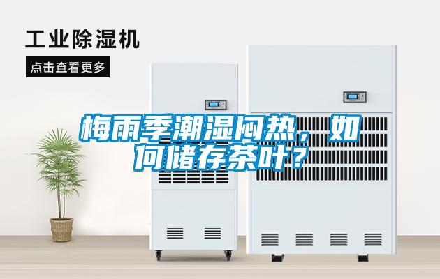 梅雨季潮濕悶熱，如何儲存茶葉？