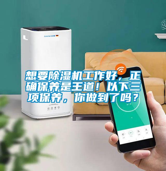 想要除濕機工作好，正確保養是王道！以下三項保養，你做到了嗎？