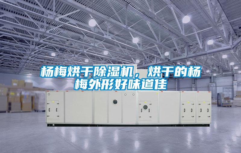 楊梅烘干除濕機(jī)，烘干的楊梅外形好味道佳