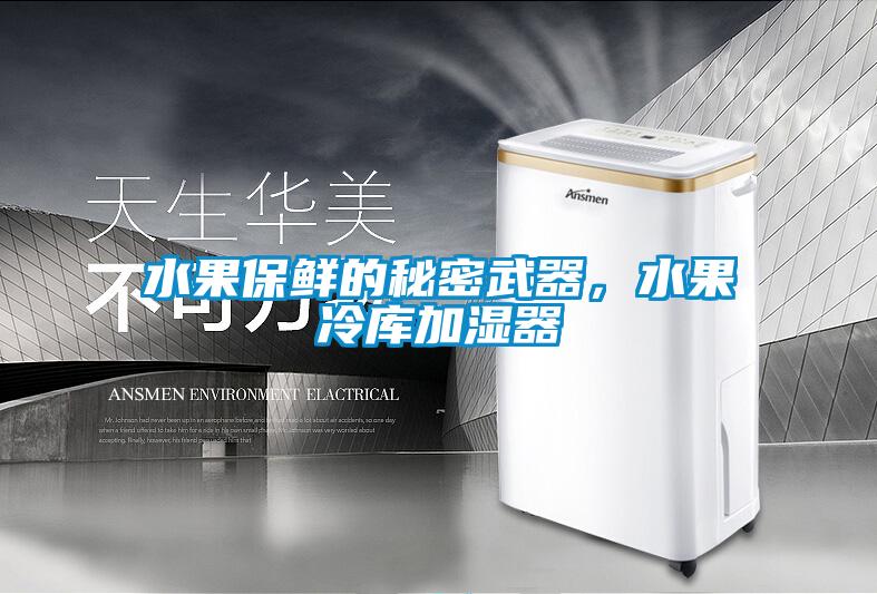 水果保鮮的秘密武器，水果冷庫加濕器