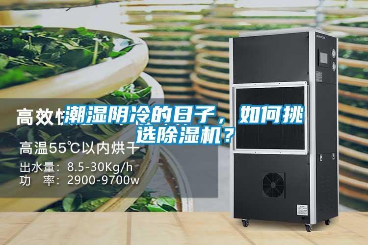 潮濕陰冷的日子，如何挑選除濕機(jī)？
