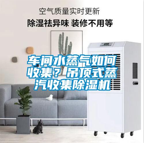 車間水蒸氣如何收集？吊頂式蒸汽收集除濕機