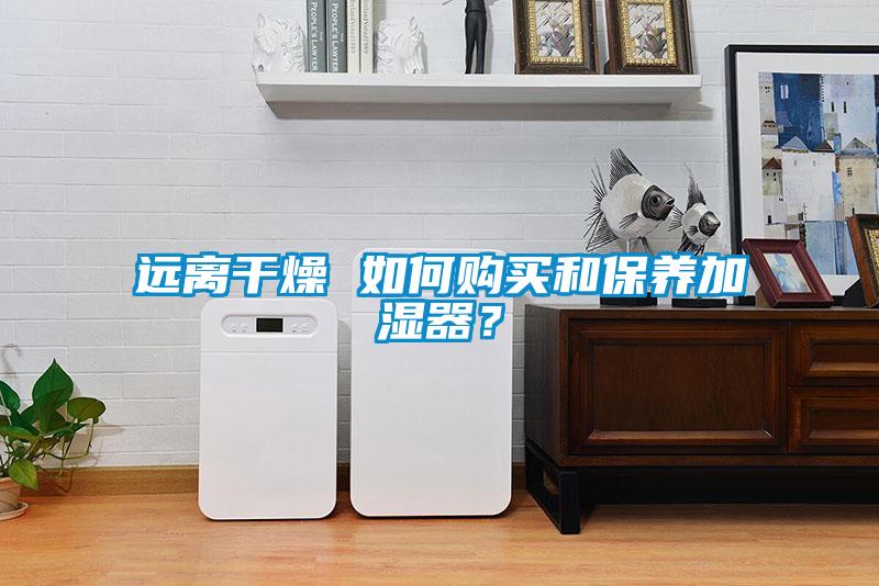 遠(yuǎn)離干燥 如何購(gòu)買和保養(yǎng)加濕器？