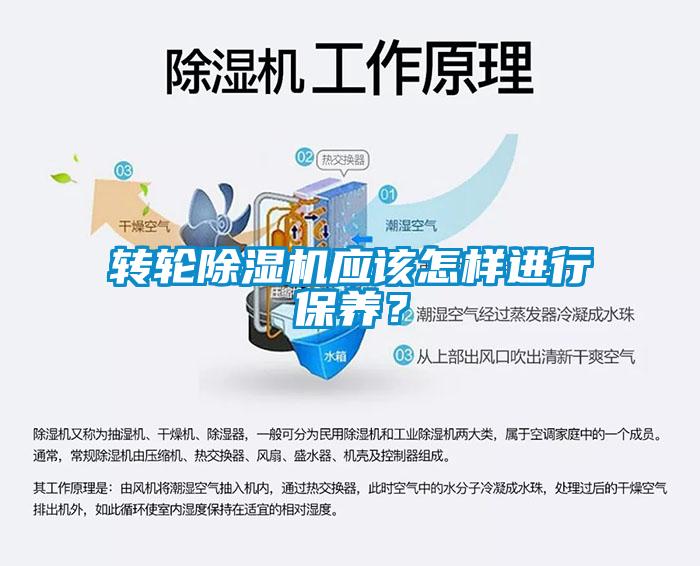 轉輪除濕機應該怎樣進行保養？