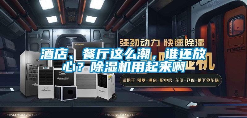 酒店、餐廳這么潮，誰還放心？除濕機用起來啊