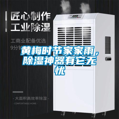 黃梅時節家家雨，除濕神器有它無憂