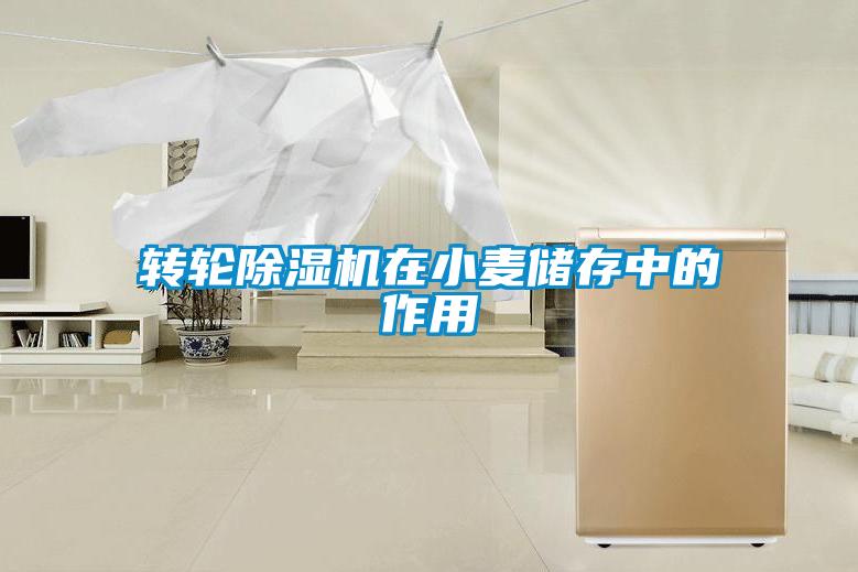 轉輪除濕機在小麥儲存中的作用