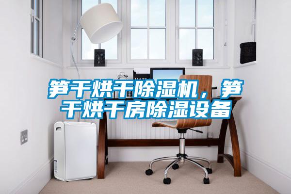 筍干烘干除濕機(jī)，筍干烘干房除濕設(shè)備