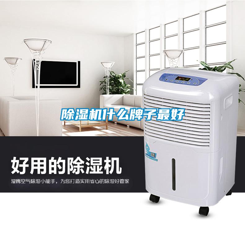 除濕機什么牌子最好