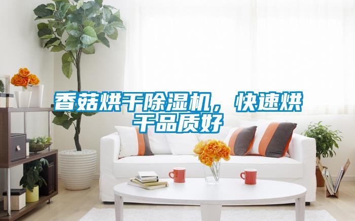 香菇烘干除濕機，快速烘干品質(zhì)好
