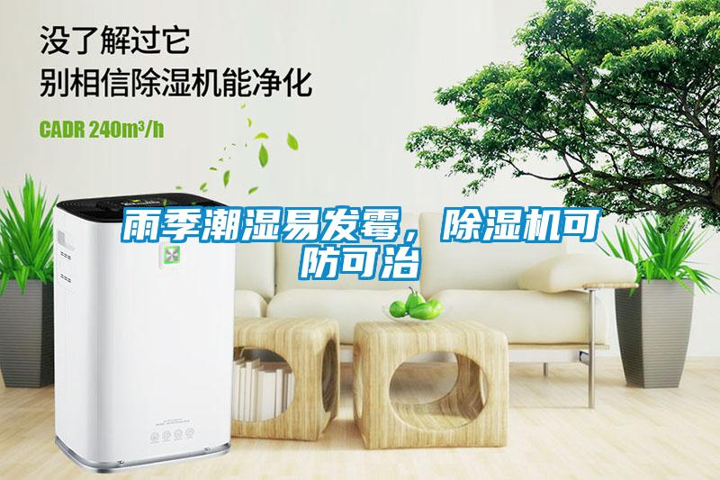 雨季潮濕易發(fā)霉，除濕機可防可治